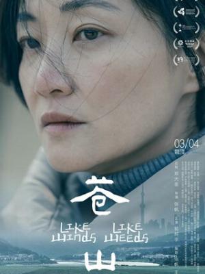 长安拾光记 剧集封面图